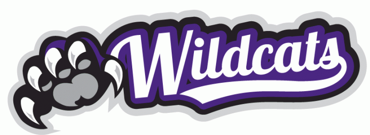 Weber State Wildcats 2012-Pres Misc Logo t shirts DIY iron ons